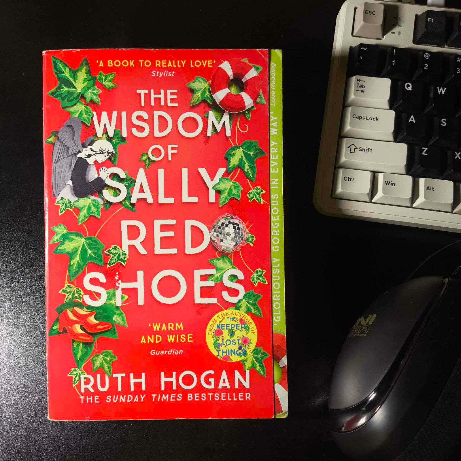 The Wisdom of Sally Red Shoes