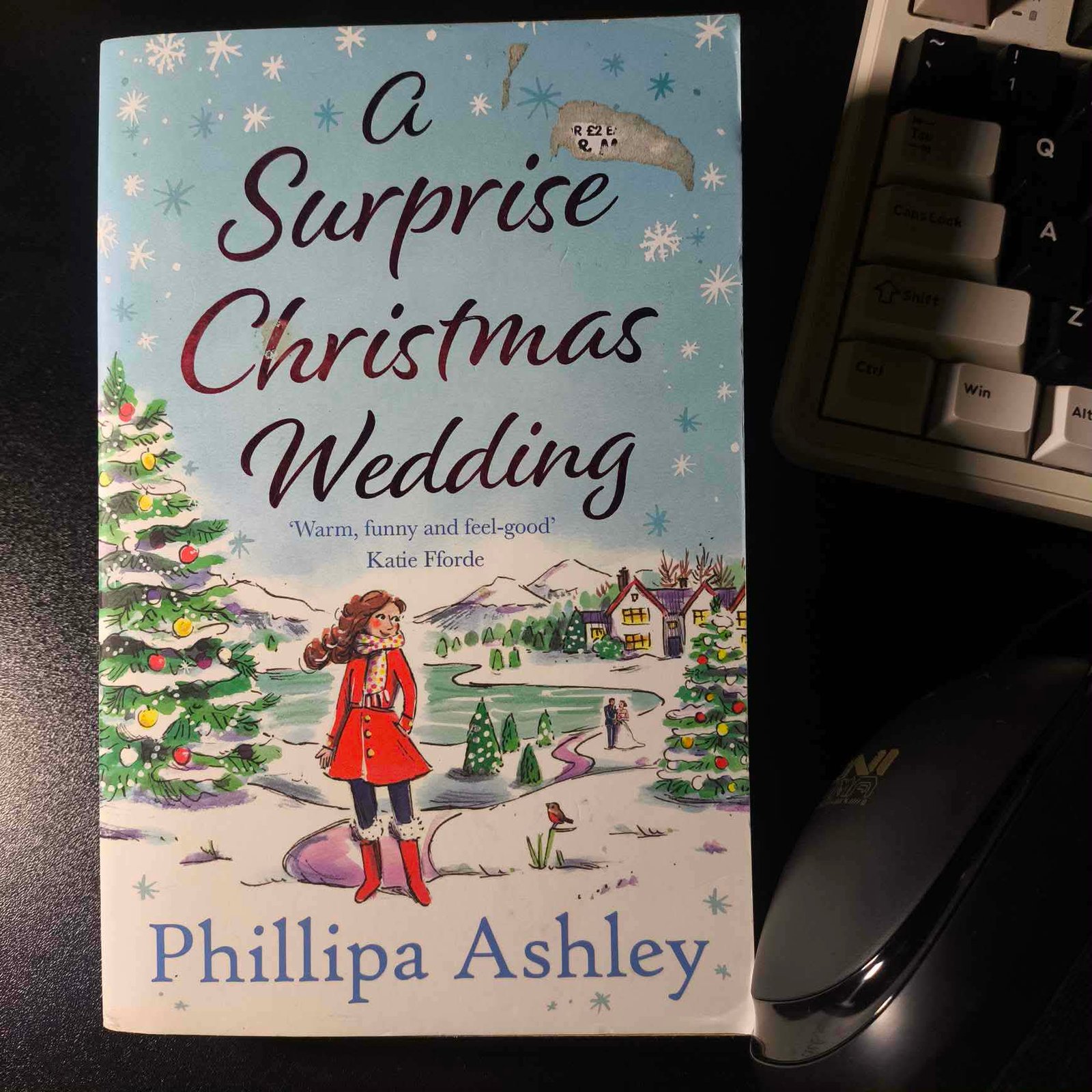 A Surprise Christmas Wedding